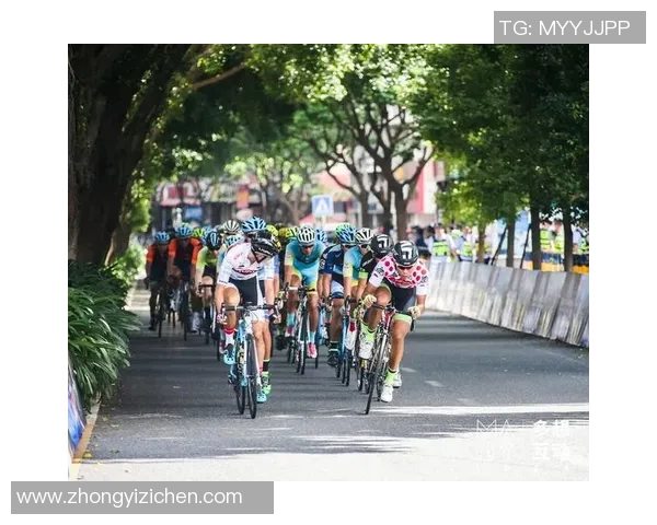 2019年史达比克对阵萨普斯堡08精彩回顾与赛后分析